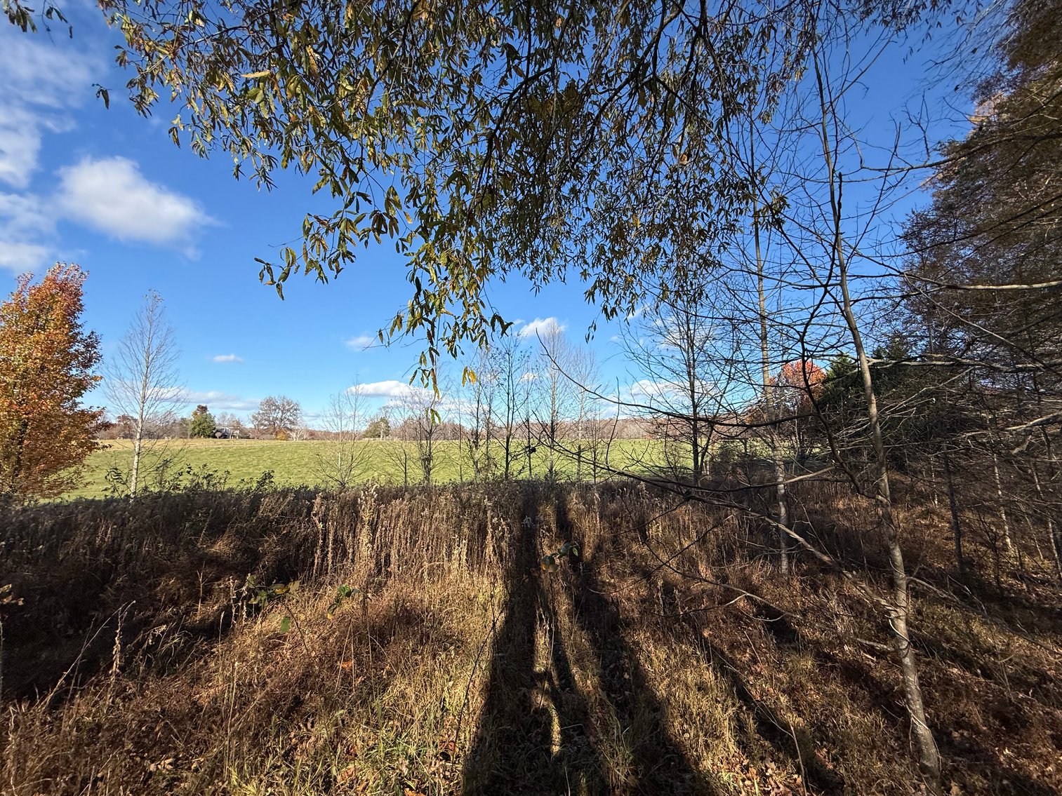 Image for 5.2 +/- Acre Mostly Wooded Building/Estate Lot in Orange County, VA--SELLING to the HIGHEST BIDDER via ONLINE ONLY BIDDING!!