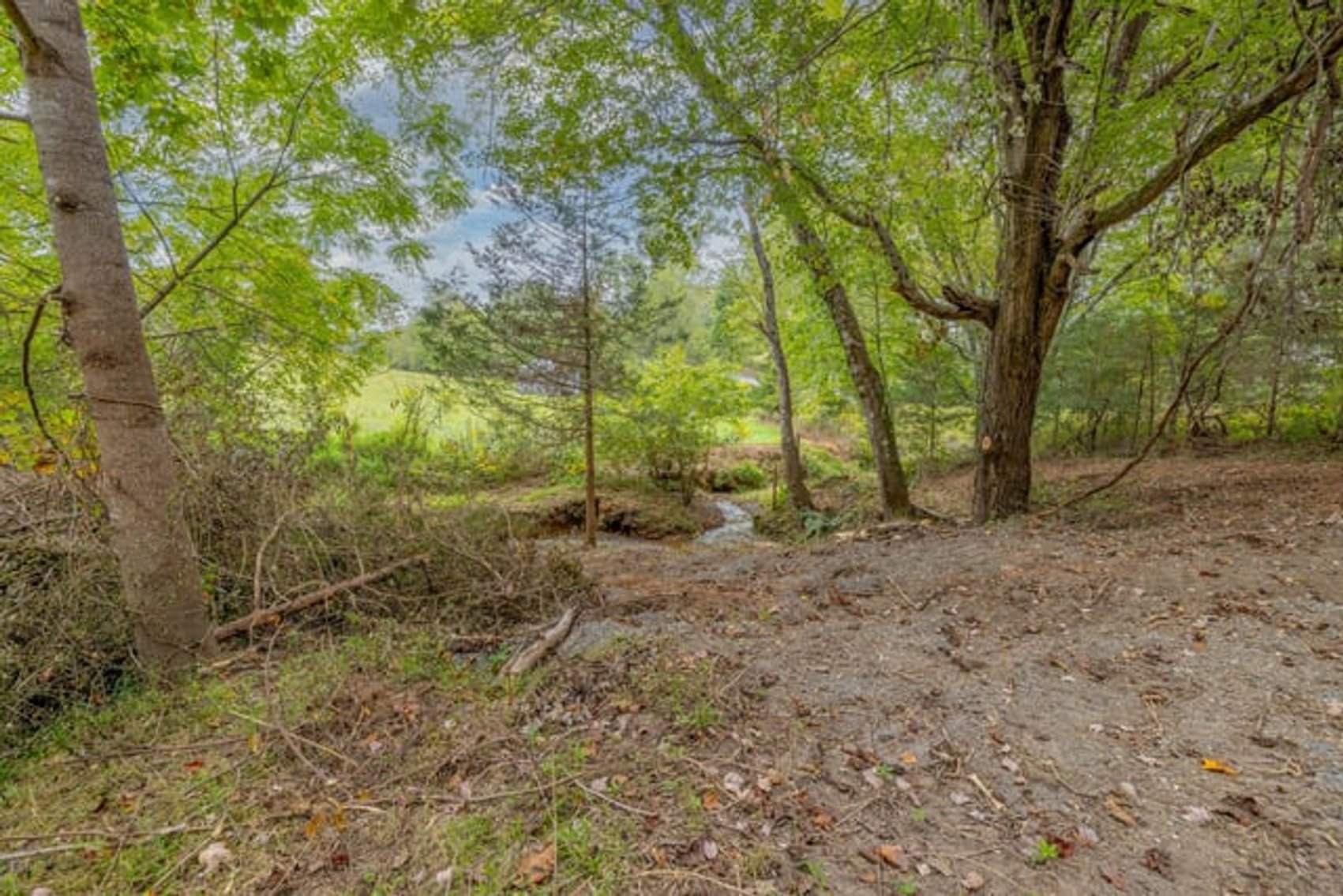 Image for 2 +/- Acre Madison County, VA Building Lot w/Approved Septic & Well Permits--ONLINE ONLY BIDDING!!