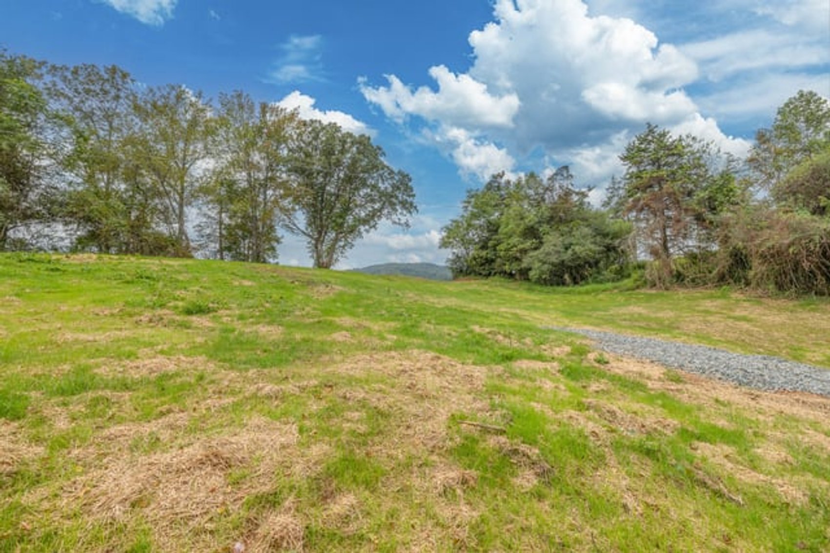 Image for 2 +/- Acre Madison County, VA Building Lot w/Approved Septic & Well Permits--ONLINE ONLY BIDDING!!