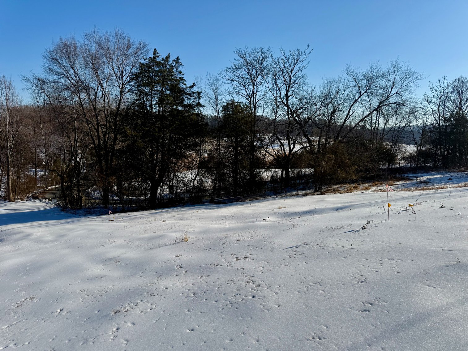 Image for 2 +/- Acre Madison County, VA Building Lot w/Approved Septic & Well Permits--ONLINE ONLY BIDDING!!