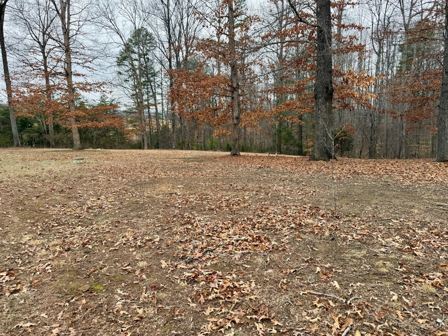 Image for 4 BR/3 BA Custom Built Home w/Basement on 5.2 +/- Acres in Madison County, VA