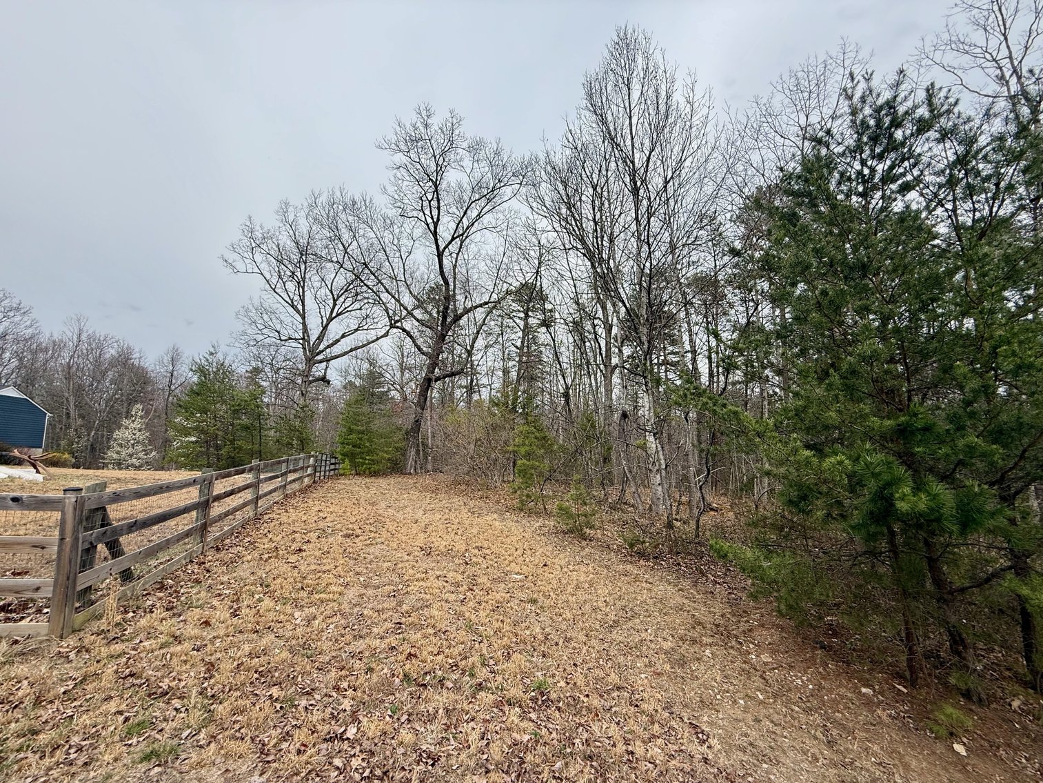 Image for 4 BR/2 BA Home w/Basement on 3.1 +/- Acres in Madison County, VA--ONLINE ONLY BIDDING!!