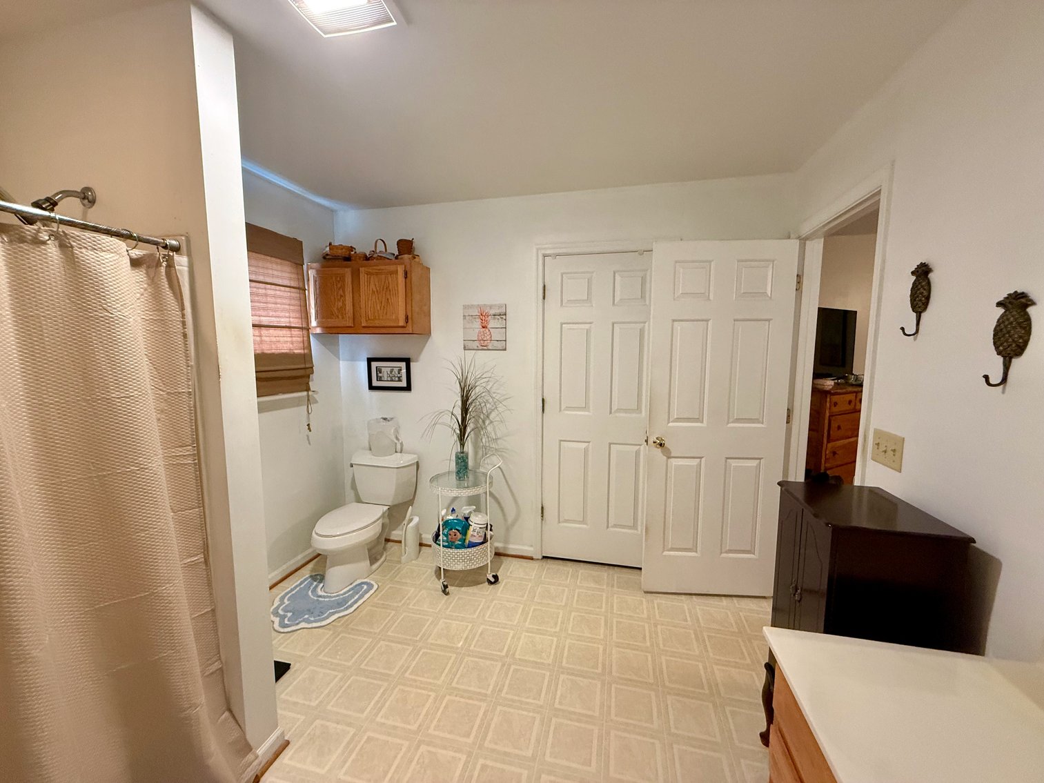 Image for 3 BR/2 BA Single Level Home on 2.9 +/- Acres in Orange County, VA