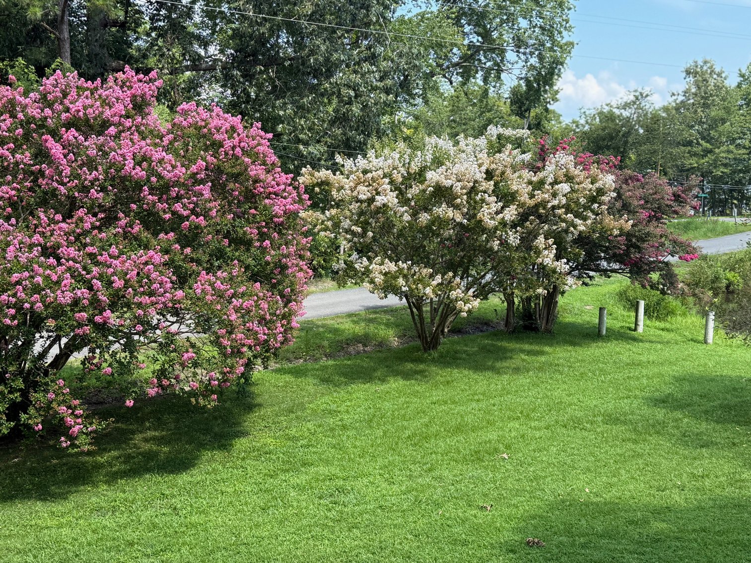 Image for 3 BR/2 BA Brick Home w/Basement Fronting Pond & Views of Mattox Creek in Colonial Beach, VA--SELLING to the HIGHEST BIDDER!!