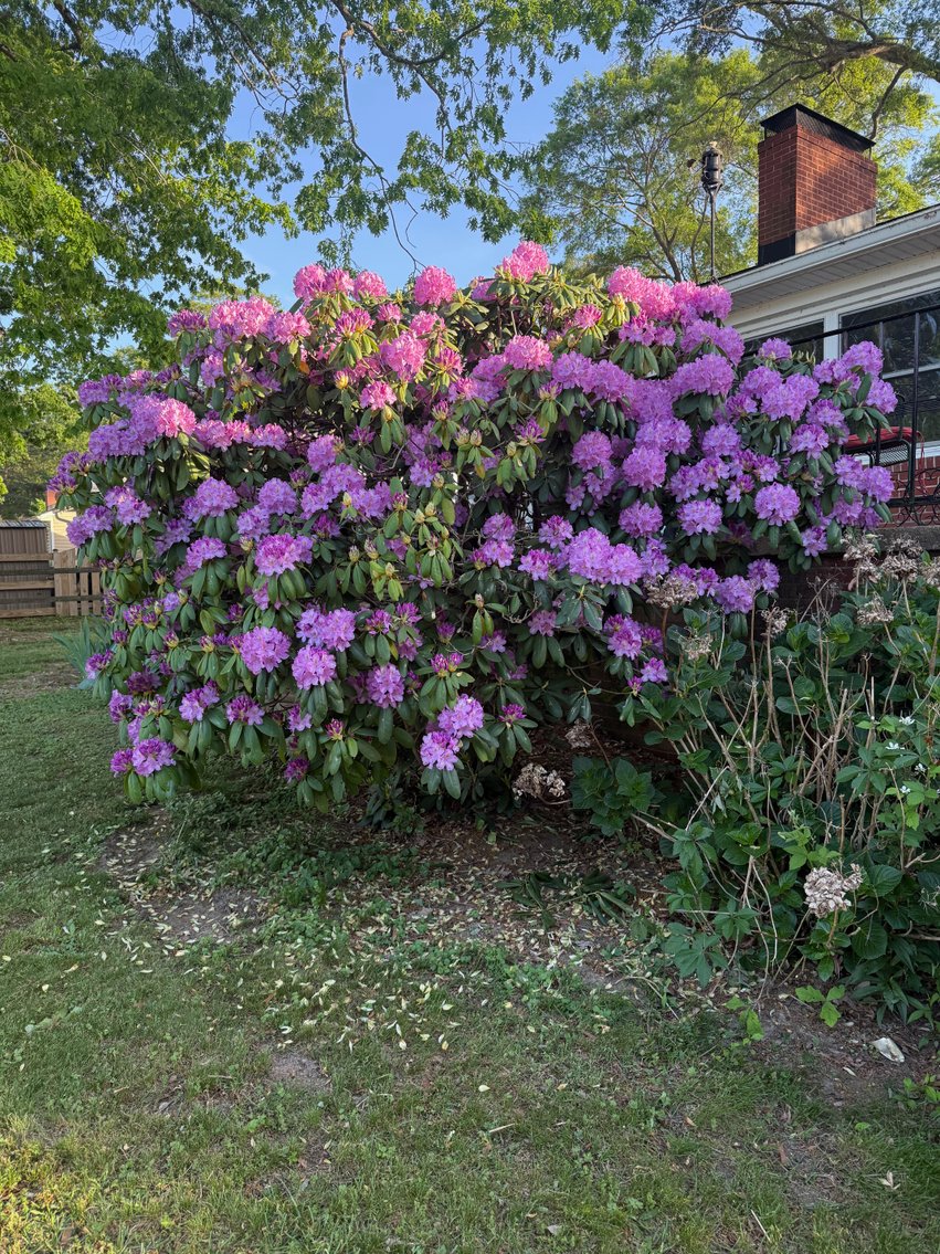 Image for 3 BR/2 BA Brick Home w/Basement Fronting Pond & Views of Mattox Creek in Colonial Beach, VA--SELLING to the HIGHEST BIDDER!!