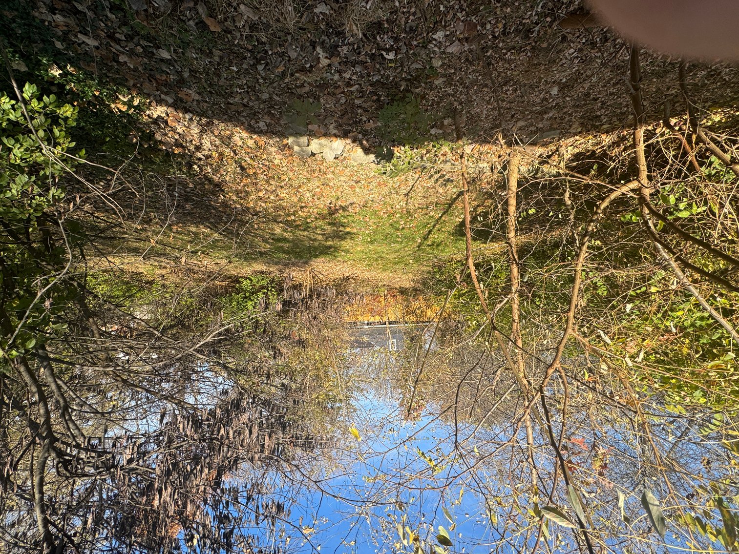 Image for 902 Chambers University View