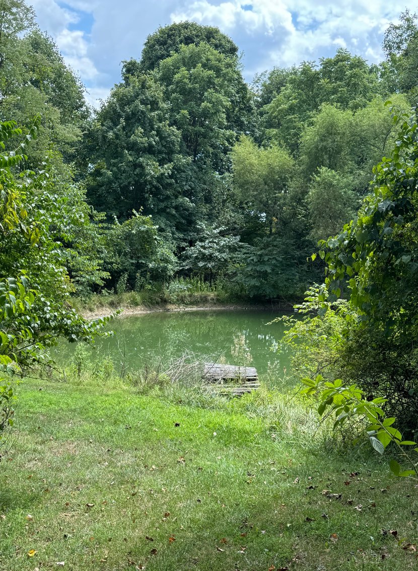 Image for 51475 Sarahsville Rd. 43779