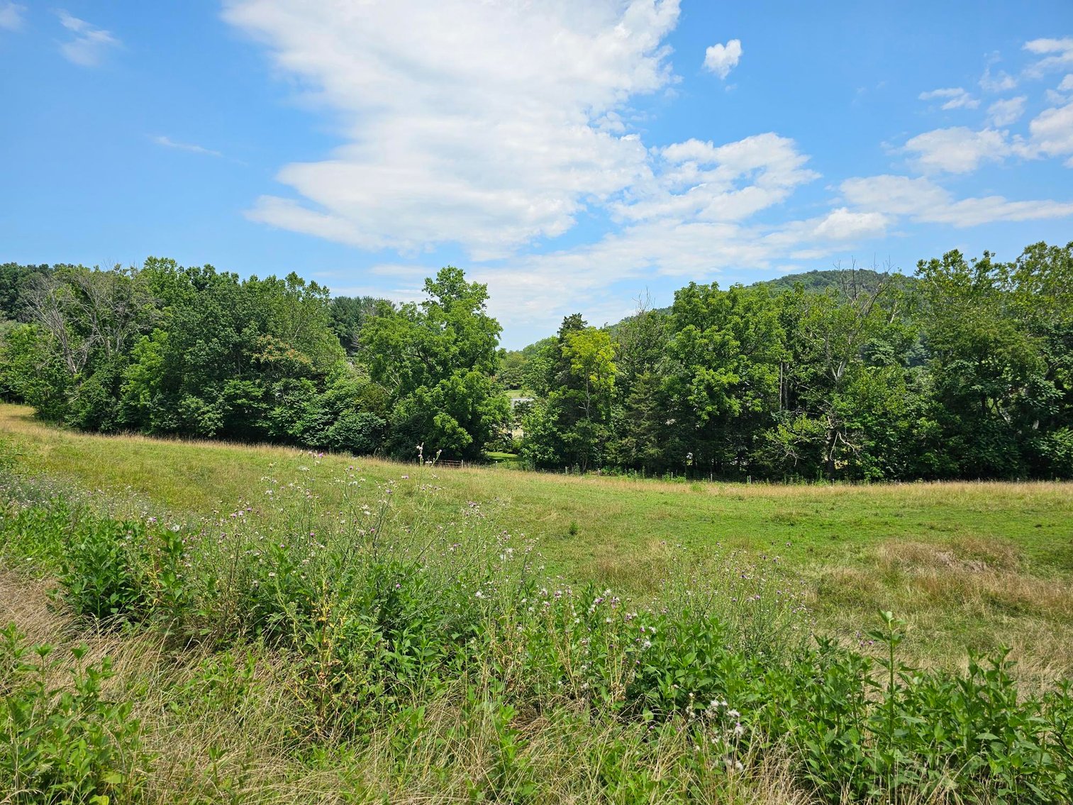 Image for Public Trustee Sale | (6) Building Lots in Eco-Friendly Greenway Subdivision | .5± AC Per Lot | Beautiful Mountain Views | Near Lexington, VA in Buena Vista