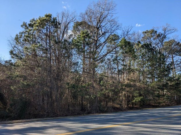 Image for SOLD! Multi-Property Public Auction | In Person & Online | Residential/Business District Lot | Buildable | 0.453± AC | 10520 Greenwood Road | Glen Allen, VA