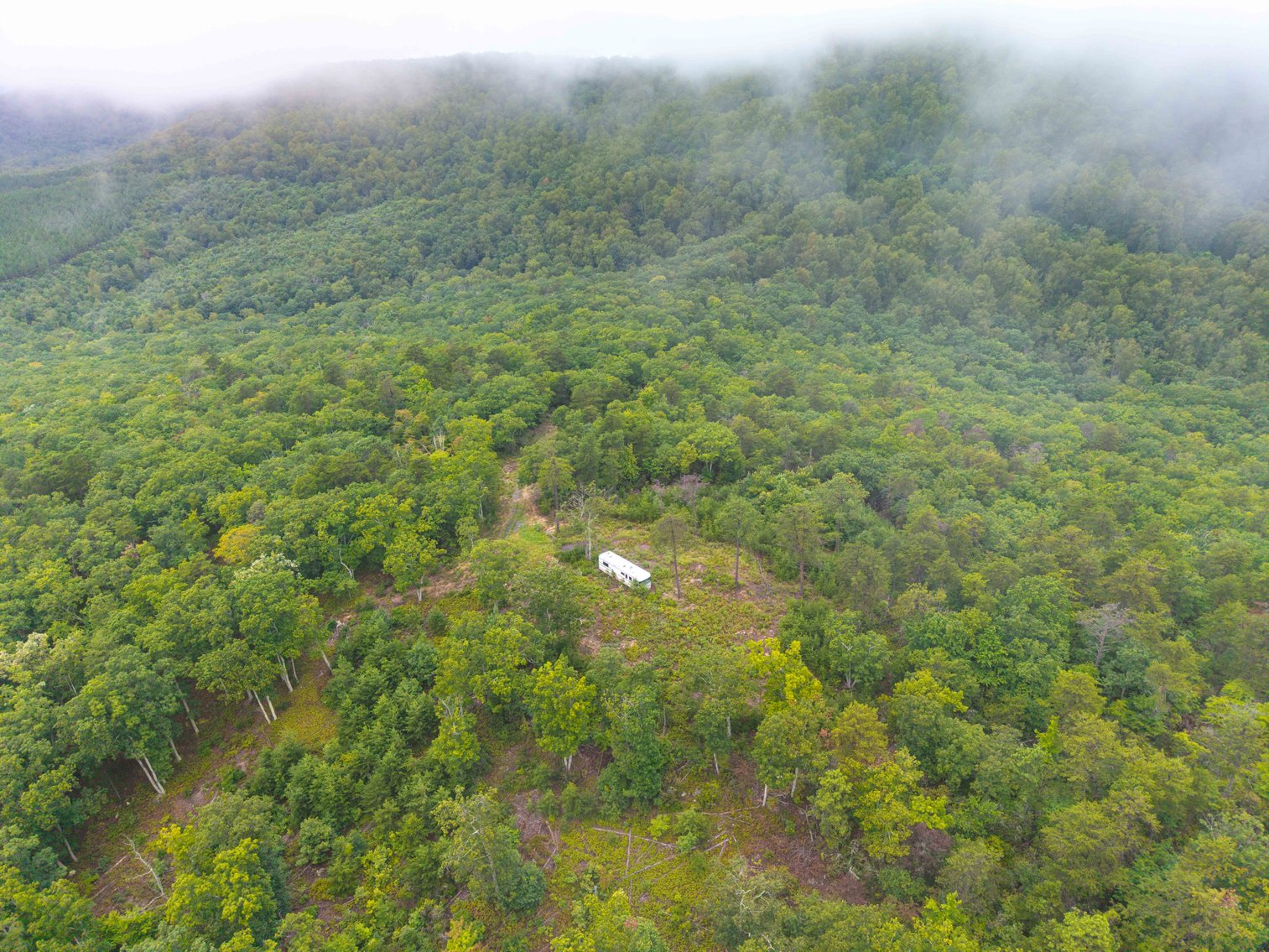 Image for For Sale Due to Bidder Default | Two Parcels Remaining! 347± Acres and 123± Acres - Buy One or Both! | Charlottesville Convenience Meets Wilderness Living | Exceptional Deer, Bear & Turkey Habitat | Appleberry Farm in Albemarle County, VA