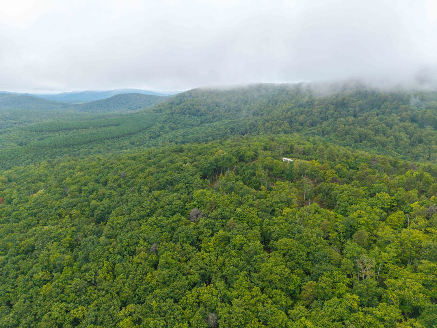 Image for For Sale Due to Bidder Default | Two Parcels Remaining! 347± Acres and 123± Acres - Buy One or Both! | Charlottesville Convenience Meets Wilderness Living | Exceptional Deer, Bear & Turkey Habitat | Appleberry Farm in Albemarle County, VA