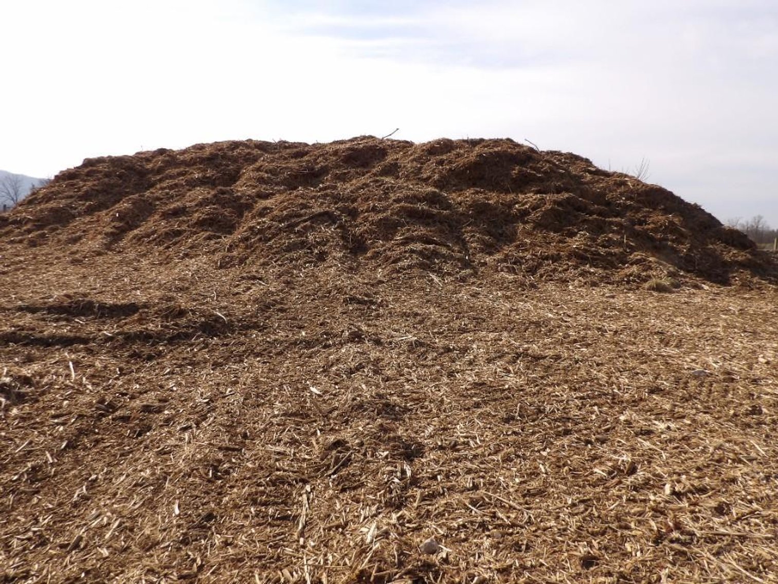 Image for Auction | Cranes, Trucks, Equipment, Rigging, and Much More! | Cave Hill Crane & Rigging Division of Cave Hill Corporation | Online Only | McGaheysville (Harrisonburg), VA